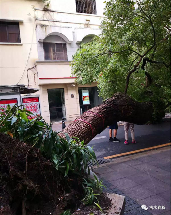 �_�L(f��ng)�^����������ľ����ָ��